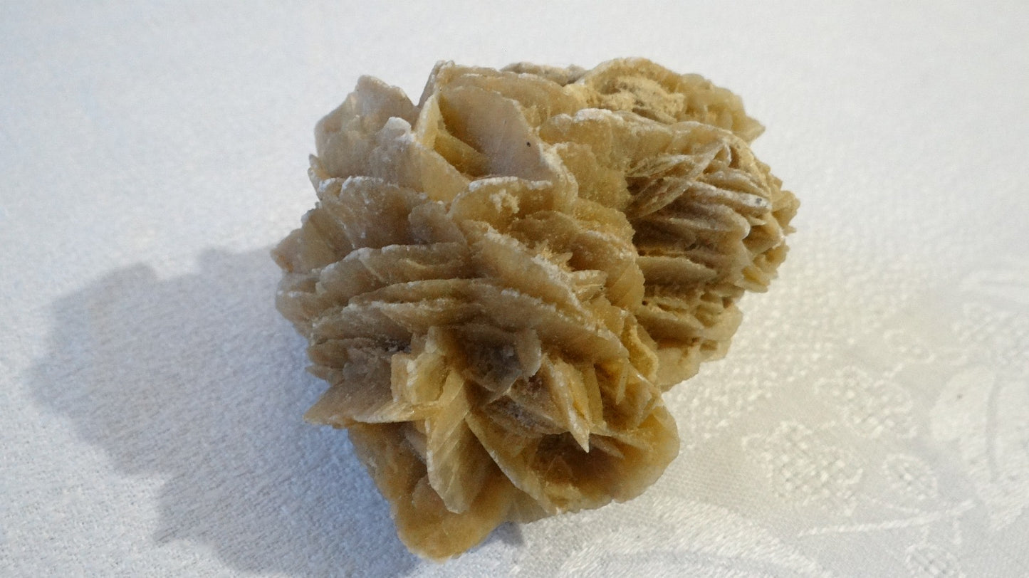 Rose des sables