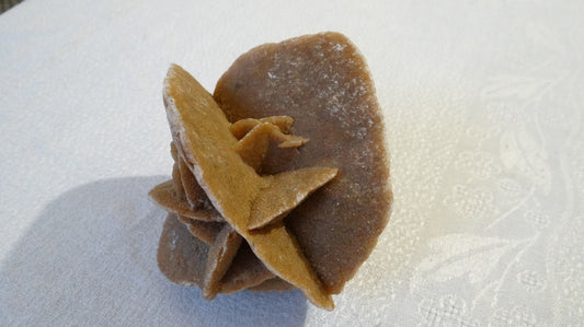 Rose des sables